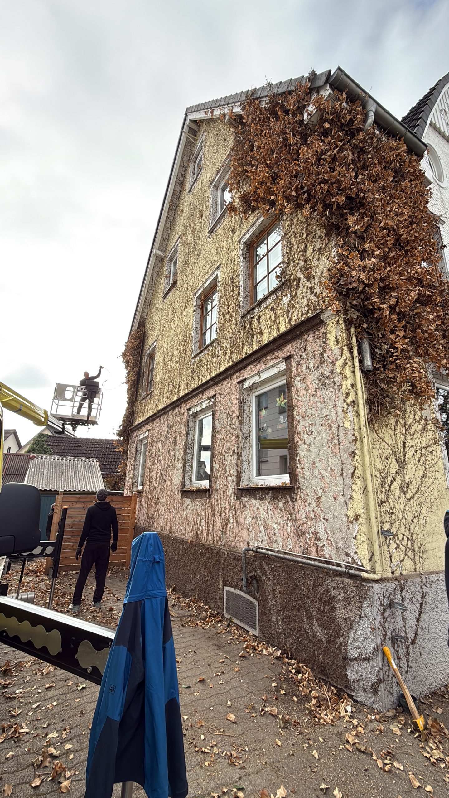 Efeu Aktion an unserer Kita