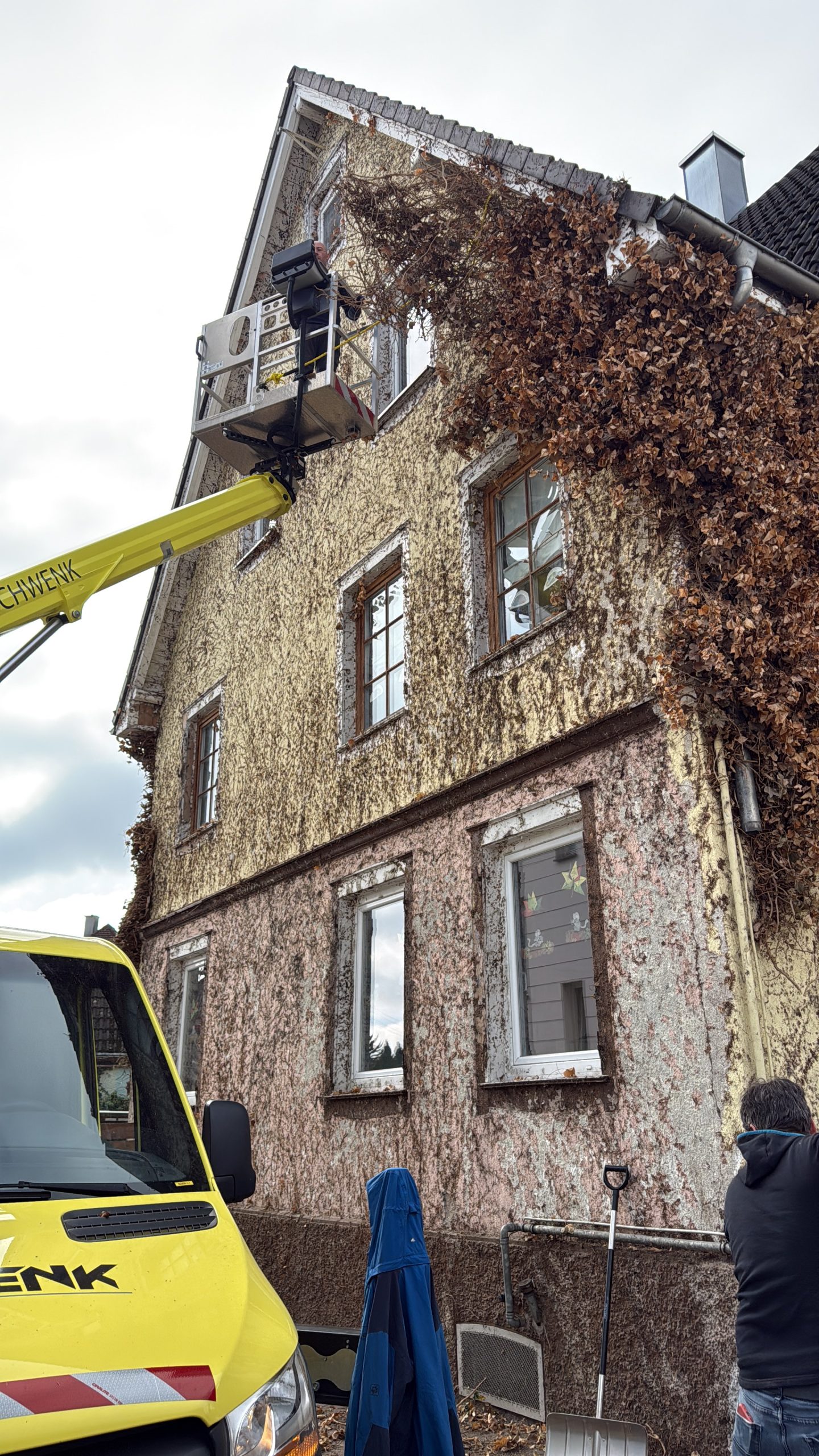 Efeu-Aktion am Kinderstüble zum Moosbach